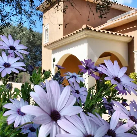 Villa Traditional Mandola